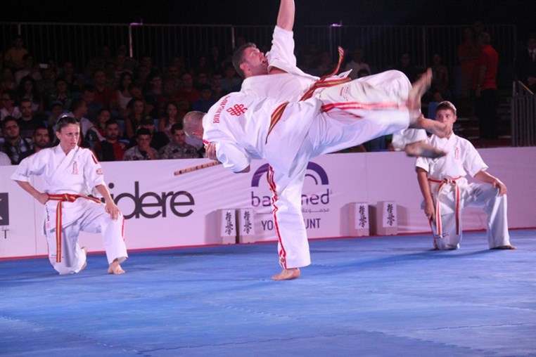 Martial Arts Festival